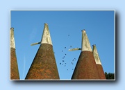 [Click to enlarge image]