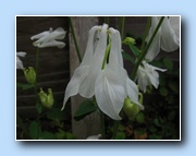 [Click to enlarge image]