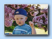 [Click to enlarge image]